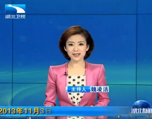 《湖北新闻联播》2013年11月3日完整直播视频