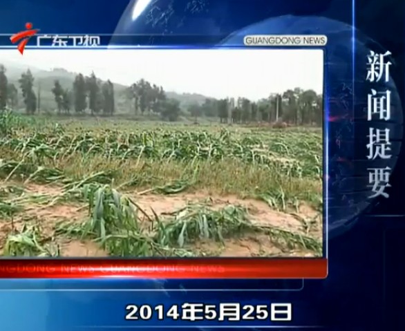 㶫2014525ֱƵ