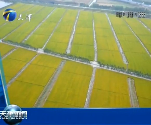 20141004ֱƵ