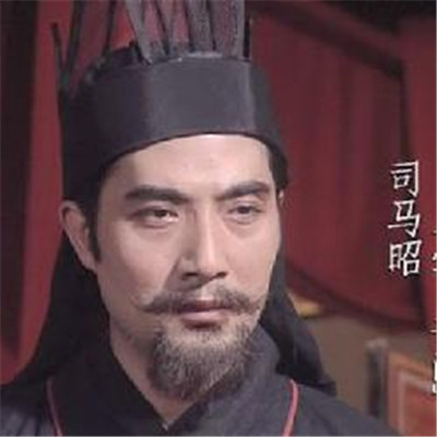 曹魏权臣司马昭生平简介 司马昭是谁的儿子
