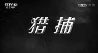 շĿ硷201771 Բȵ ϼ