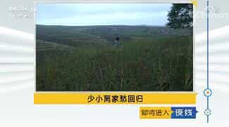 《夜线》 20180208 少小离家愁回归