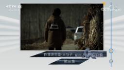 շĿ硷2018811 ļ硤 