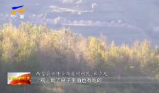 2018925ֱƵ