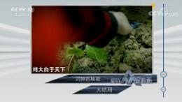 շĿ硷2018929 ˯ ֣