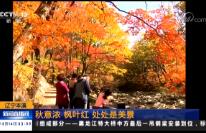 ֱ䡷20181014 03:00