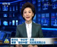 新华社“辛识平”文章：硬要“撤资中国”坑的是美国企业